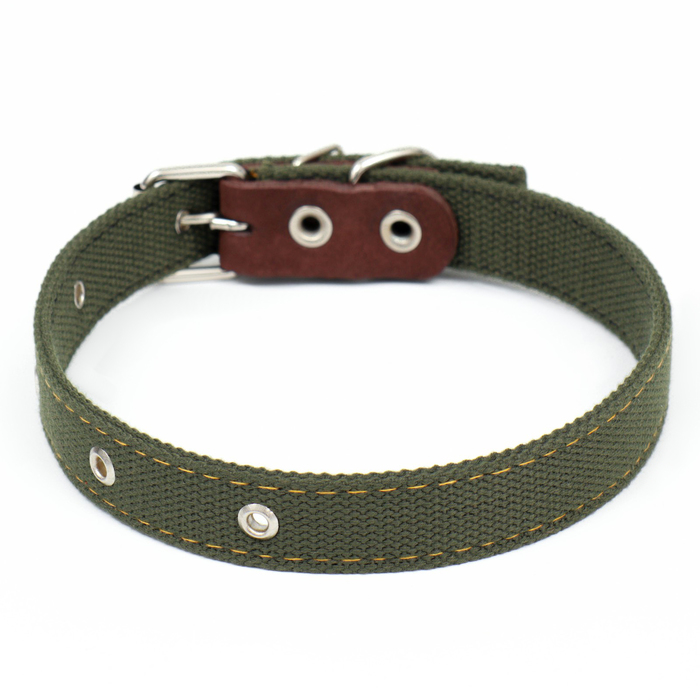 Ошейник брезентовый двухслойный, 59,5 х 2,5 см