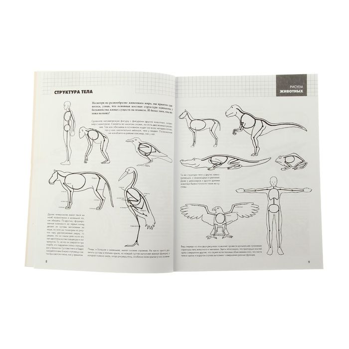 Рисуем животных