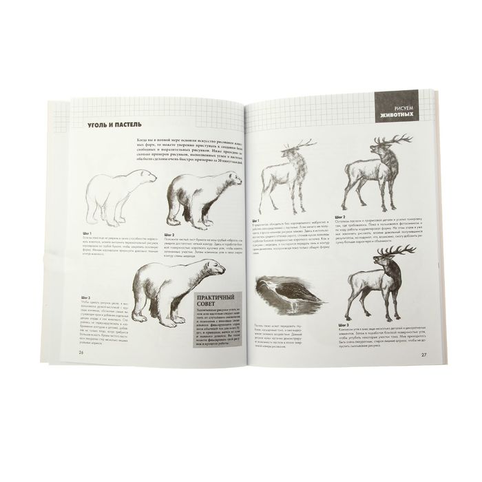 Рисуем животных