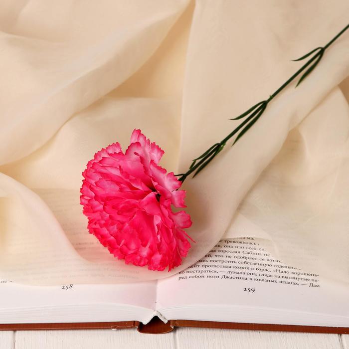 цена Цветы искусственные Гвоздика 37 см, розовый