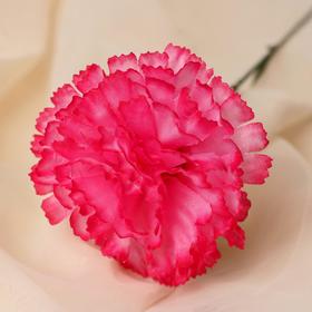 цветы искусственные гвоздика 37 см розовый от Сима-ленд
