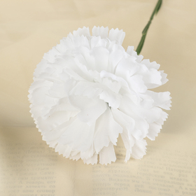 цветы искусственные гвоздика 37 см белый от Сима-ленд