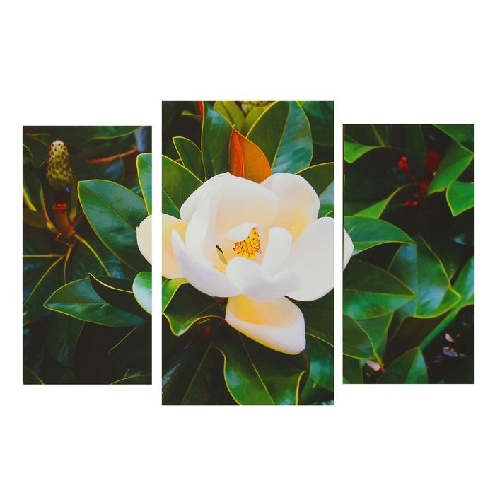 Модульная картина на подрамнике "Белая магнолия", 30×60, 40×70, 30×60 см