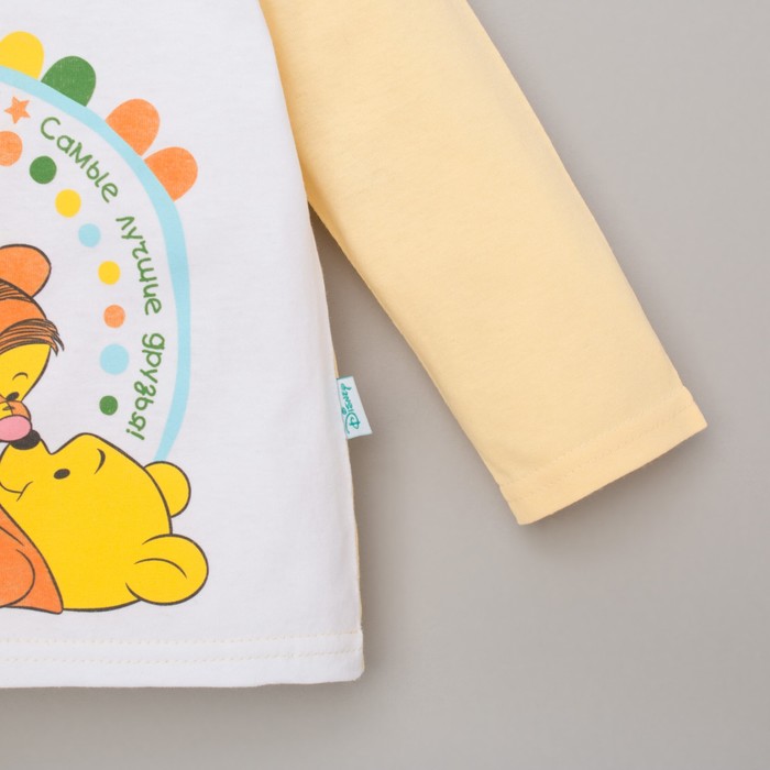 Футболка с длинным рукавом детская "Дисней беби: Медвежонок Винни и друзья", рост 68-74 (48) см, 6-9 мес, 100% хлопок