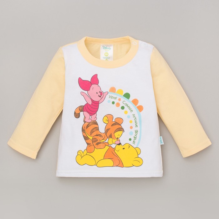 Футболка с длинным рукавом детская "Дисней беби: Медвежонок Винни и друзья", рост 98-104 (60) см, 3 года, 100% хлопок