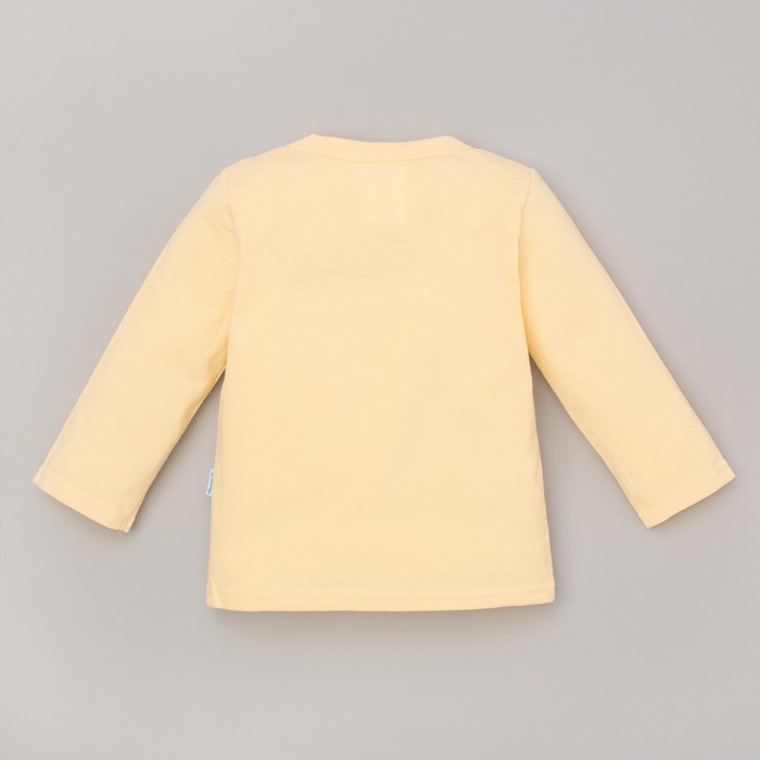 Футболка с длинным рукавом детская "Дисней беби: Медвежонок Винни и друзья", рост 98-104 (60) см, 3 года, 100% хлопок