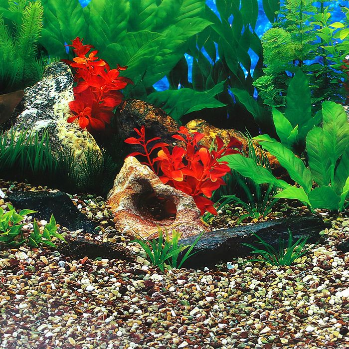 Фон двухсторонний 50см. Растительный пресн./Белые кораллы морской 9019-9029(50)