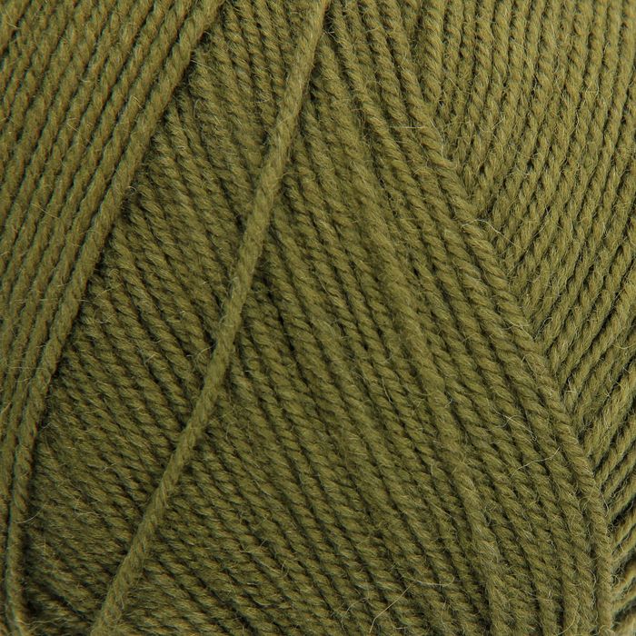 Пряжа"Австралийский меринос" 95%мерин.шерсть,5% акрил объёмный 400м/100гр (423-Болото)