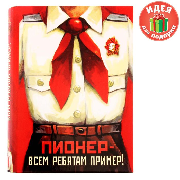Ежедневник на кольцах &quot;Пионер - всем ребятам пример!&quot;, твёрдая обложка, 120 листов