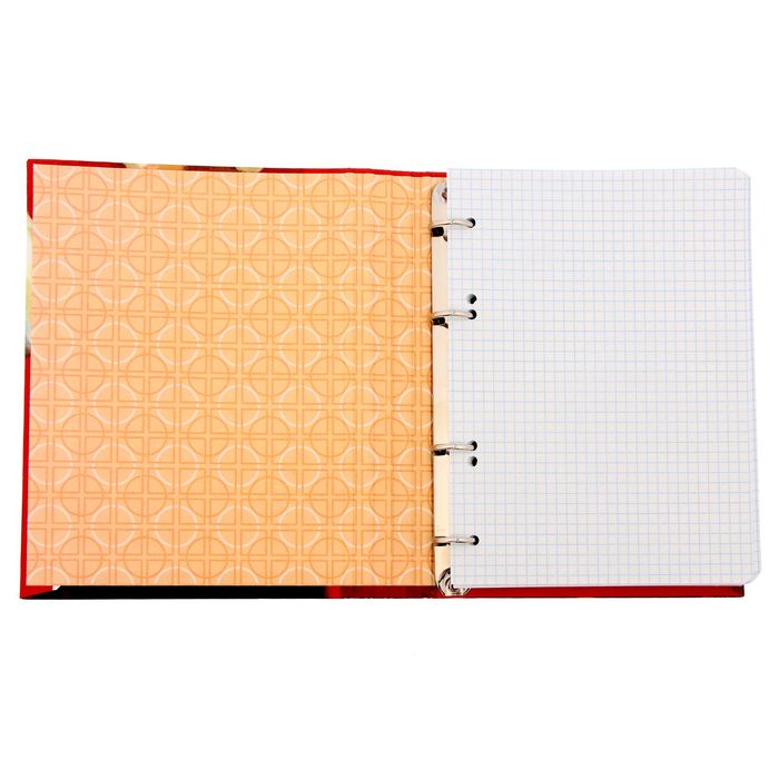 Ежедневник на кольцах "Пионер - всем ребятам пример!", твёрдая обложка, 120 листов