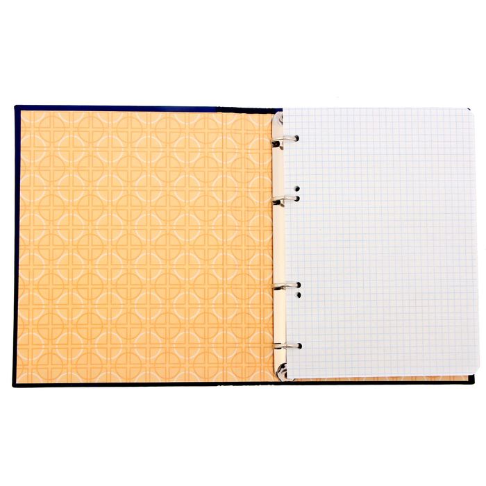 Ежедневник на кольцах "Акула бизнеса", твёрдая обложка, 120 листов