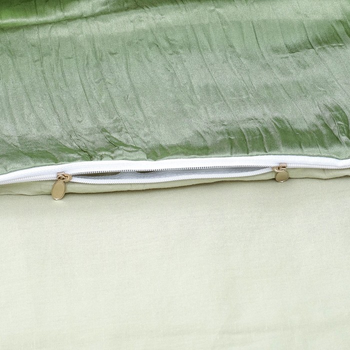 Постельное бельё "Этель Элегант" 2 сп. Олива 180х210 см, 220х240 см, 50х70+5 см - 2 шт., верх иск.шелк, низ 100% хлопок