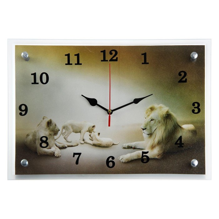 Часы-картина настенные, серия: Животный мир, Белые львы 25х35 см