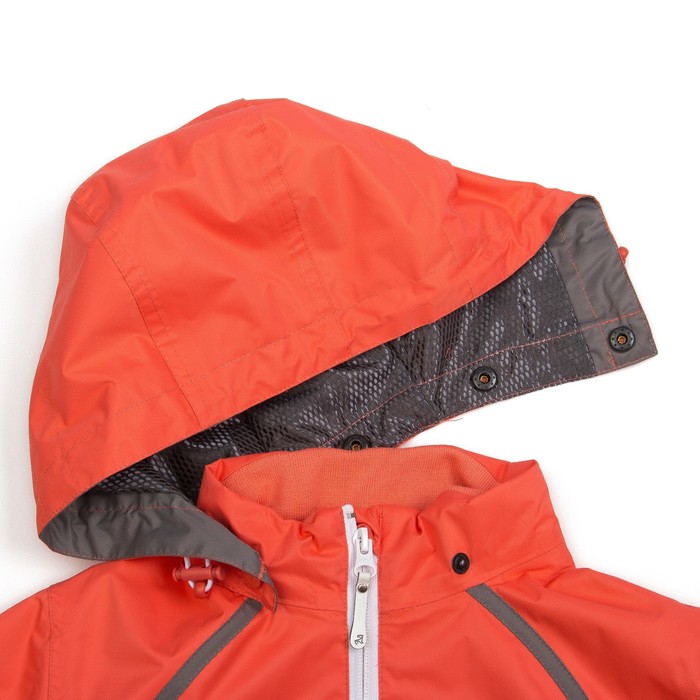 Куртка для девочки, рост 158-164 см (84), цвет красный ТФ 32011/3 ТР