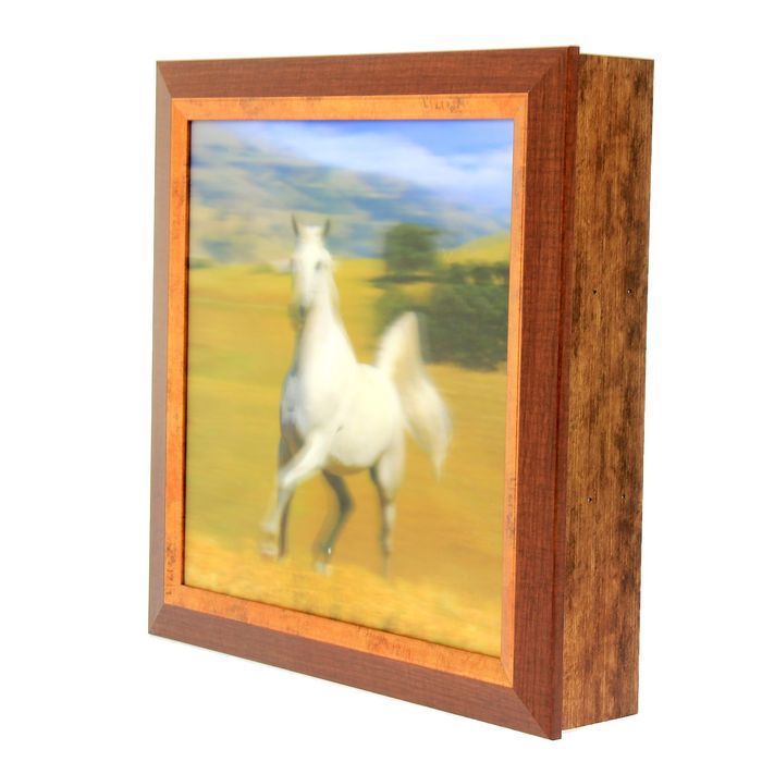 Аптечка "Конь в степи"