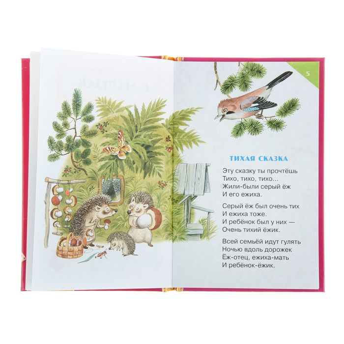 Сказка о глупом мышонке