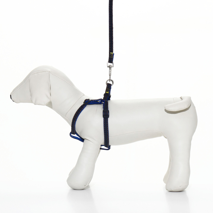 Комплект "Джинс", ширина 1 см, поводок 120 см, шлейка 20-33 см, синий