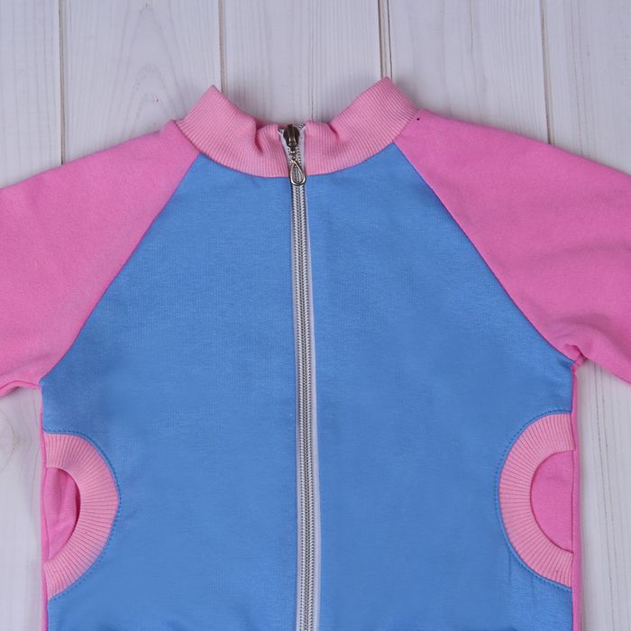 Комплект для девочки (джемпер+штаны), рост 98-104 см (56), цвет розовый/светло-голубой (арт. Д 15166/1/8-П)