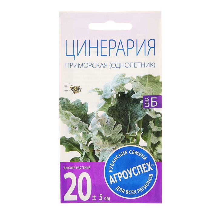 Семена цветов Цинерария Приморская, однолетник, 0,1 гр