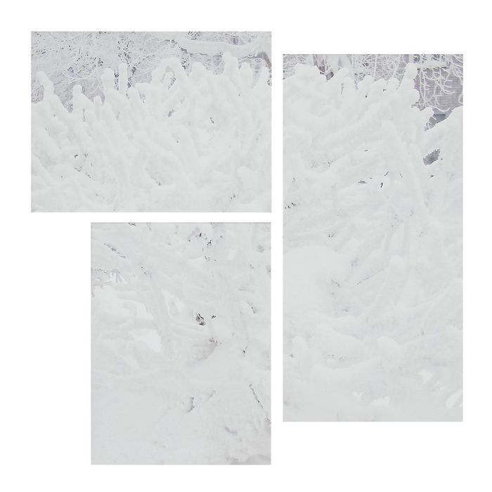 Модульная картина на подрамнике "Иней", 40×30, 30×40, 30×60 см