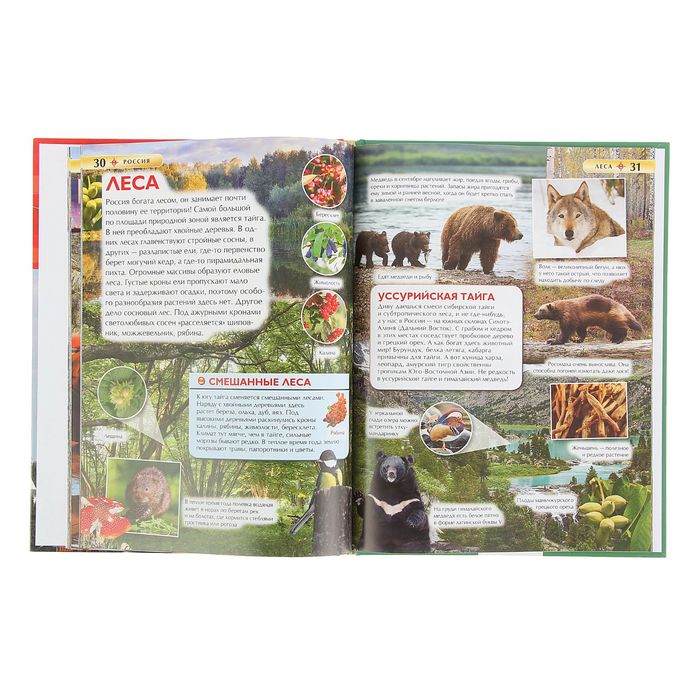 Детская энциклопедия «Россия»