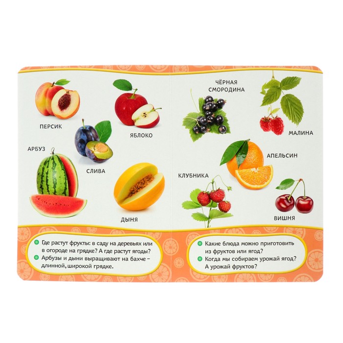 Всё-всё-всё для малышей «Что я ем?»