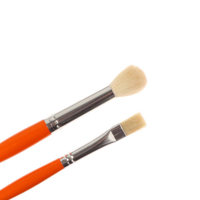 Набор кистей «Кроха», микс, «Альбатрос», 2 штуки: круглая № 10 (шерсть козы), плоская № 10