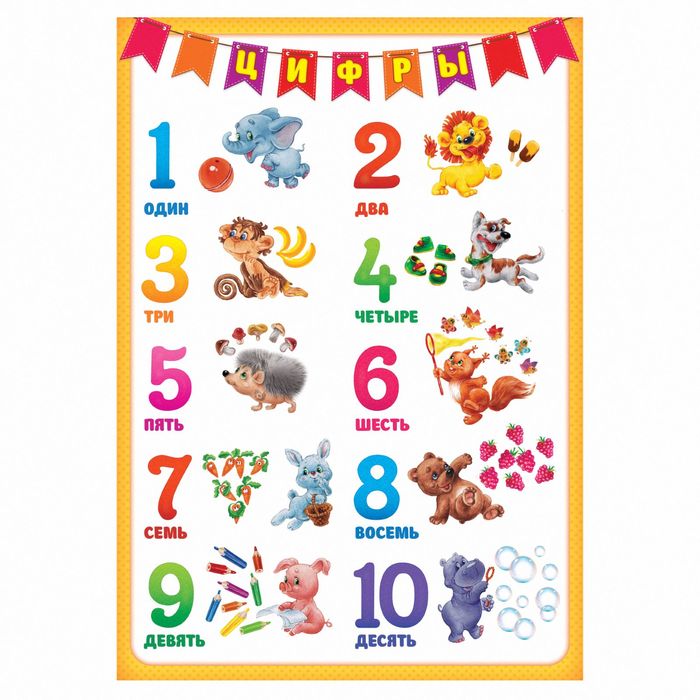 Плакат обучающий А4 "Цифры"
