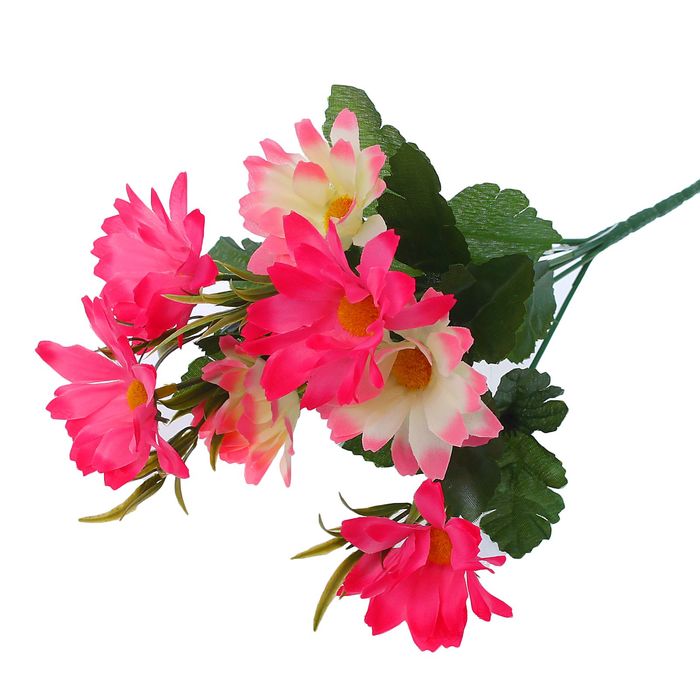 Букет "Разноцветные ромашки" микс