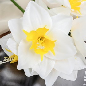 Цветы искусственные "Нарцисс" белый 60 см от Сима-ленд