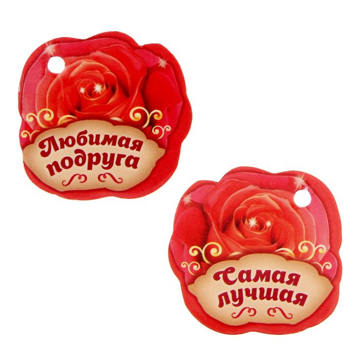 Ложка чайная в органзовом мешочке "Любимая подруга"