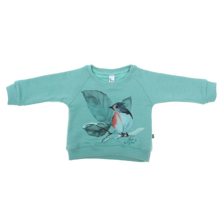 Джемпер для девочки "Птичка", рост 68 см (24), цвет зеленый 550Б-461