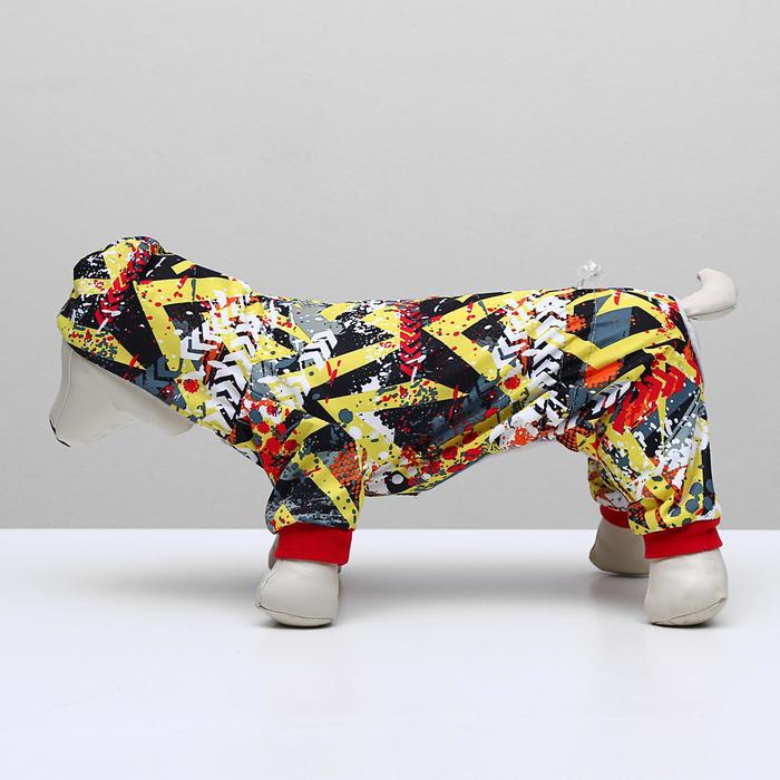 Комбинезон с меховым подкладом, М (дс-24 см, ош-28 см, ог-36 см), микс