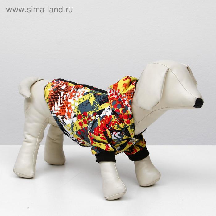

Куртка с капюшоном на меховом подкладе, S (ДС 20-22 см, ОШ 26 см, ОГ 30-34 см) микс
