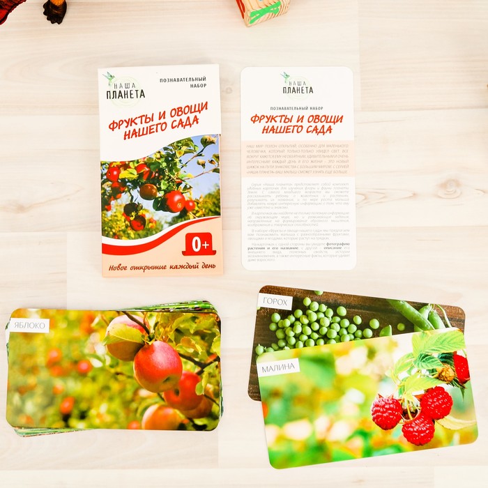 Обучающие карточки "Фрукты и овощи нашего сада"