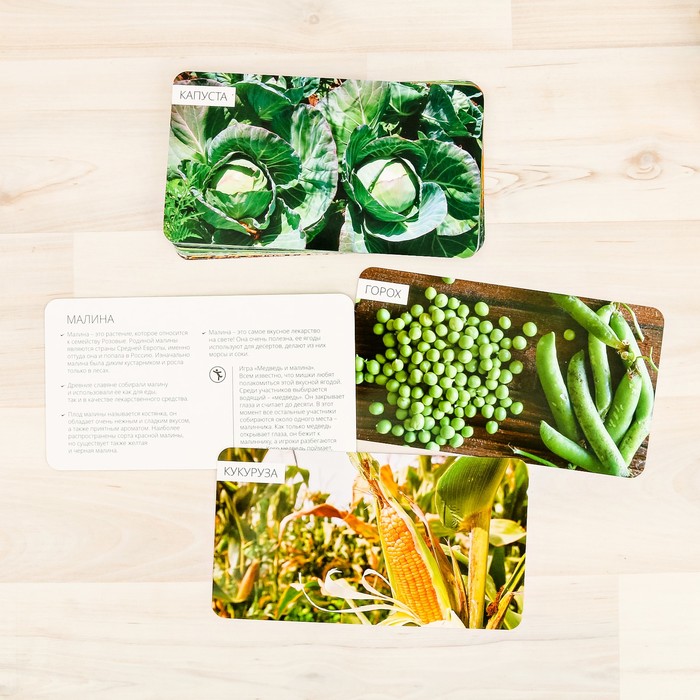 Обучающие карточки "Фрукты и овощи нашего сада"