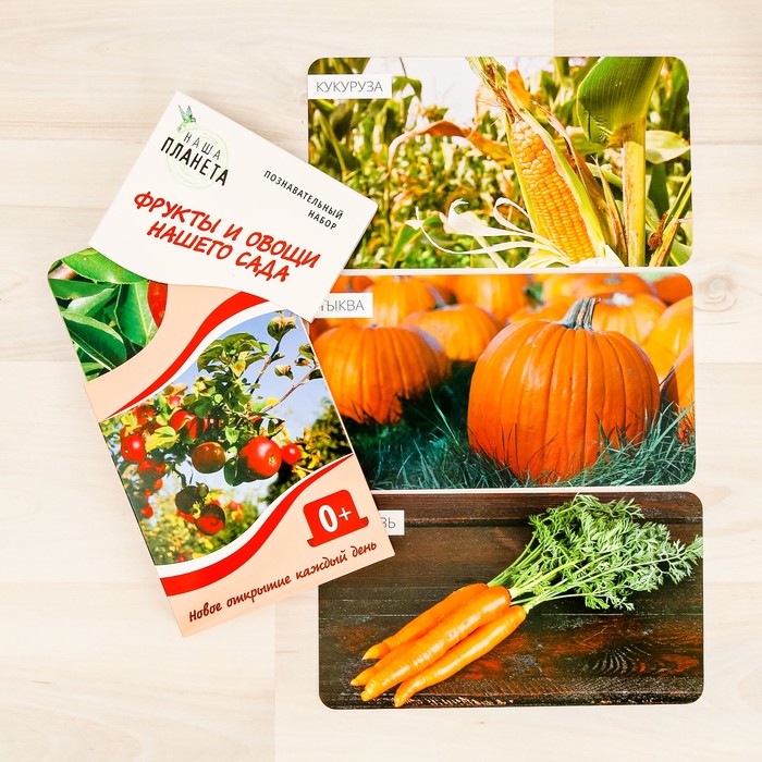Обучающие карточки "Фрукты и овощи нашего сада"