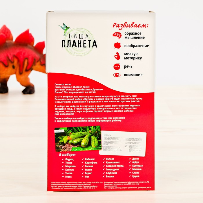 Обучающие карточки "Фрукты и овощи нашего сада"