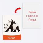 Обучающие карточки «Изучаем английский. Животные жарких стран», 16 штук, 3+ - Фото 6