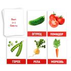 Обучающие карточки «Изучаем английский. Овощи», 16 штук, 3+ - Фото 2