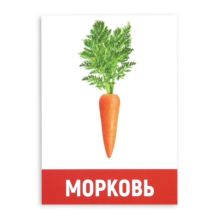 Обучающие карточки "Овощи" 16 шт.