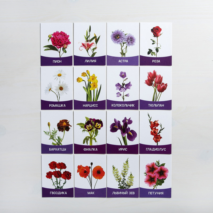Обучающие карточки "Цветы садовые" 16 шт.