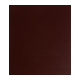Альбом для монет «Стандарт», 230х270 мм, без листов, коричневый