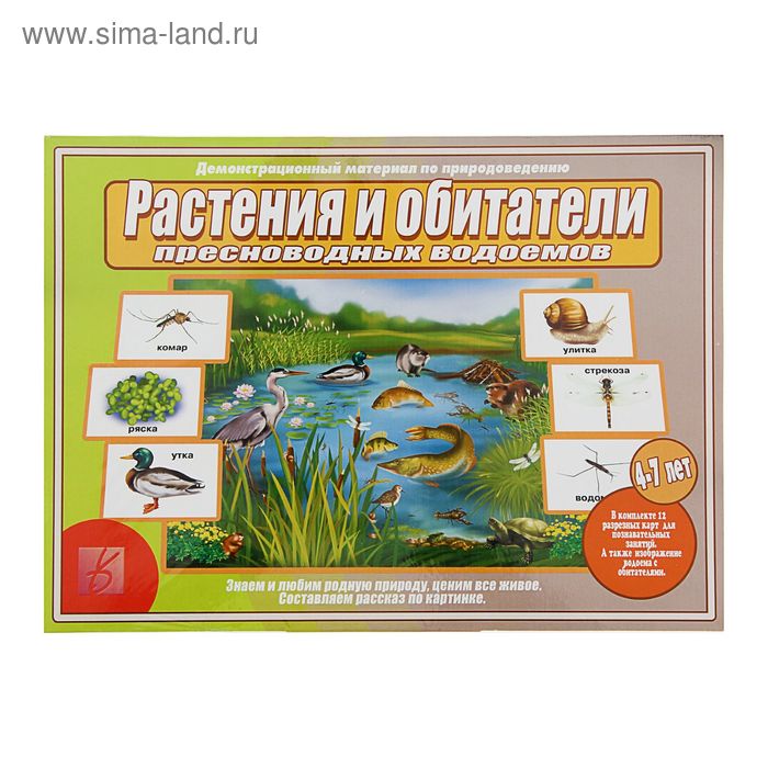 

Настольная игра «Растения и обитатели пресноводных водоемов»