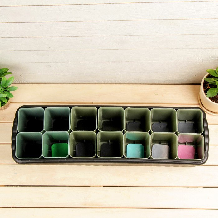 Набор для рассады: стаканы - 14 шт. по 400 мл, поддон 61 х 19 см