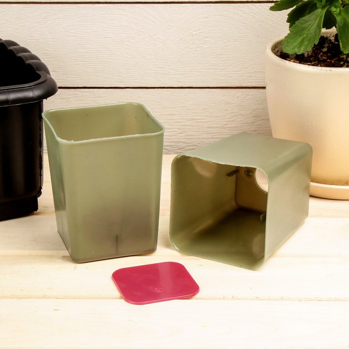 Набор для рассады: стаканы - 14 шт. по 400 мл, поддон 61 х 19 см