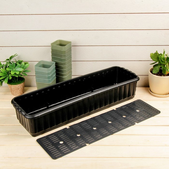 Набор для рассады: стаканы - 14 шт. по 400 мл, поддон 61 х 19 см