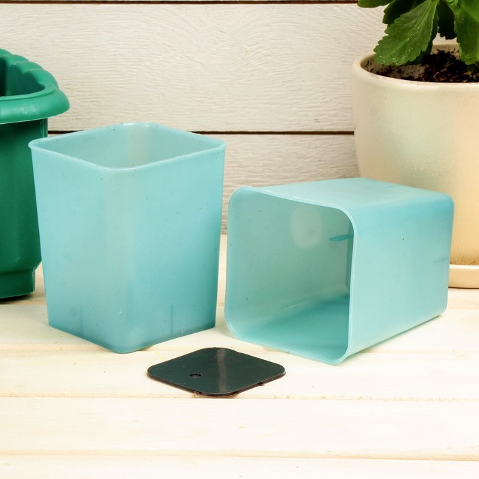 Набор для рассады: стаканы - 14 шт. по 300 мл, поддон 59 х 18 см, МИКС