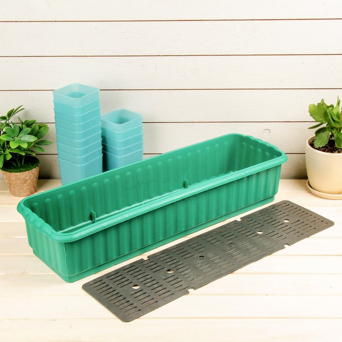 Набор для рассады: стаканы - 14 шт. по 300 мл, поддон 59 х 18 см, МИКС