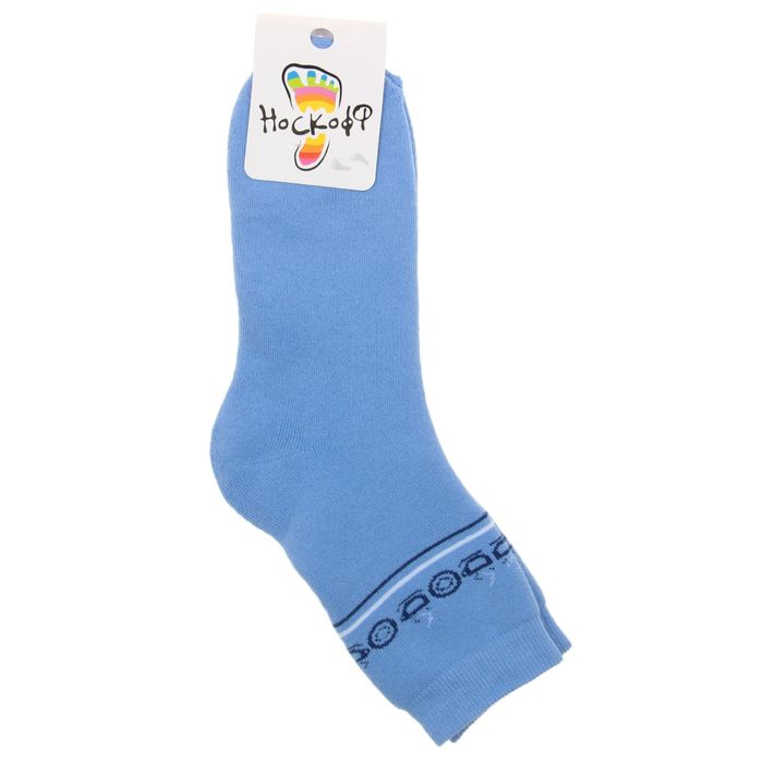Носки детские плюшевые, цвет голубой, размер 22-24